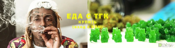 индика Киреевск