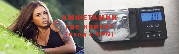 индика Киреевск