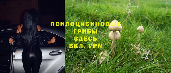 спиды Алексеевка