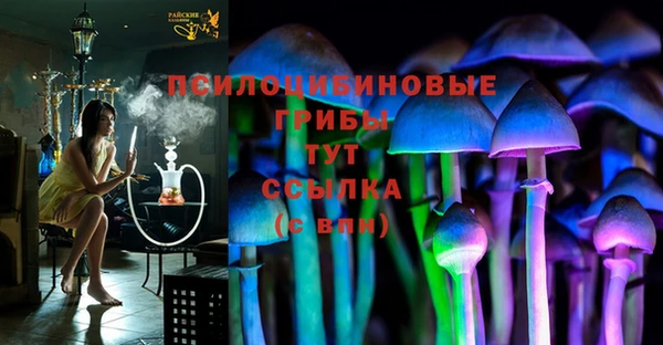 спиды Алексеевка