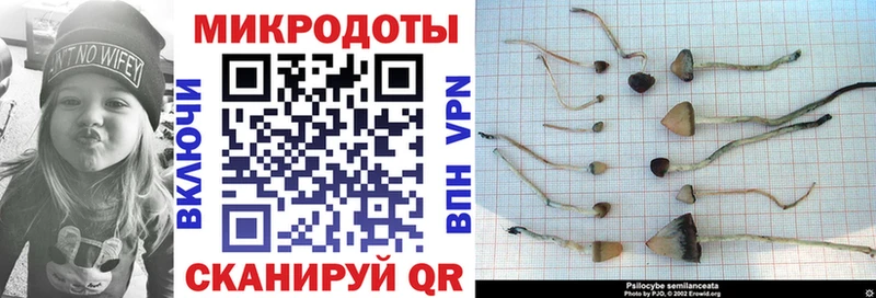 купить наркотик  площадка телеграм  Псилоцибиновые грибы ЛСД  Пермь 